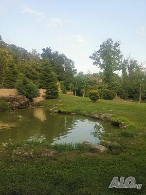 image_30