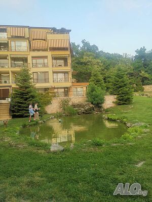 image_15
