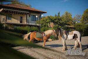 Къщи за гости Еко Комплекс Албиция - частна вила Албиция