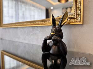 image_11