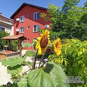 image_11
