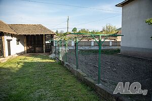 image_9