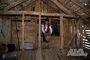 image_26