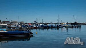 image_12