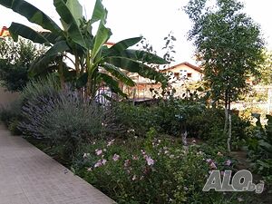 image_24