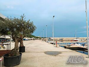 image_15
