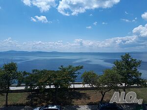 Стая под наем Стаи за гости WEST