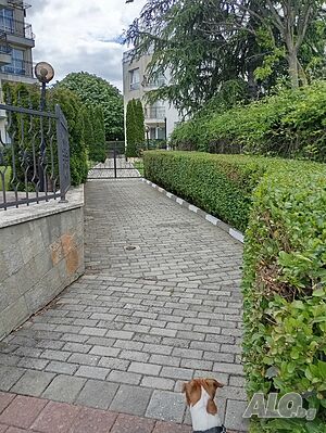image_3