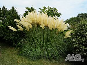 image_23