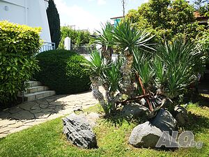 image_17