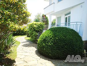 image_16