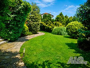 image_24