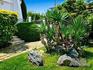 image_23