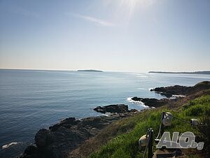 image_19