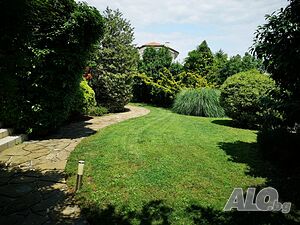 image_22