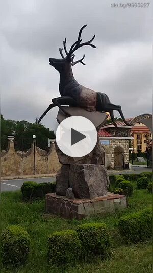 image_5