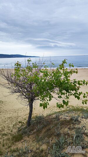 image_15