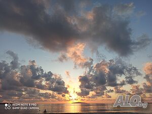 image_11