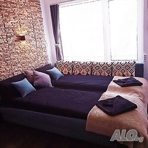 image_11