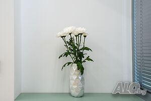 image_23