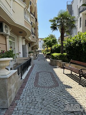 image_11