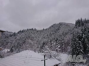 image_7