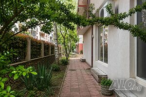 image_11