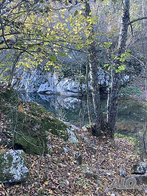 image_11