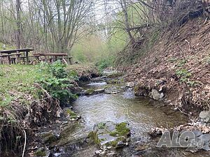 image_12