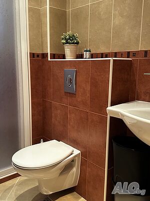 image_19