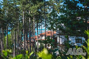image_33