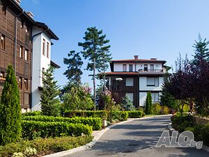 image_19