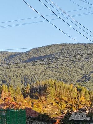 image_16