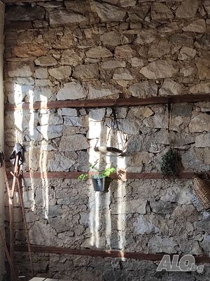 image_17
