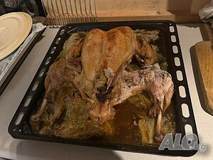 image_38