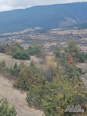 image_44