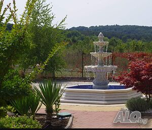 image_7