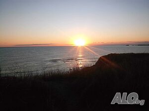image_31