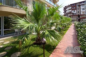 image_34
