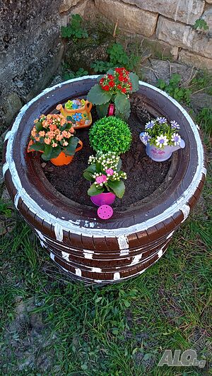 image_8