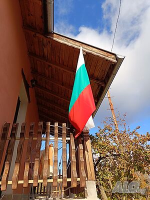 image_11