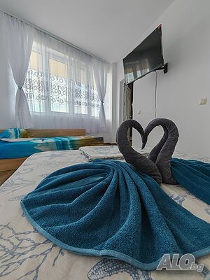 image_9