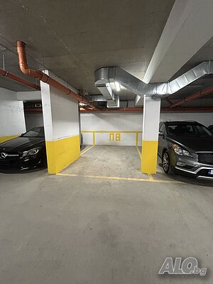 image_8