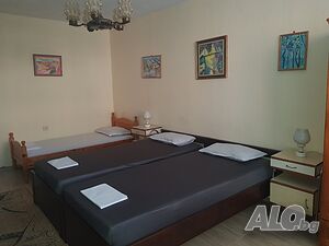 Стая под наем Стаи под наем