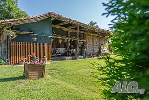 image_8