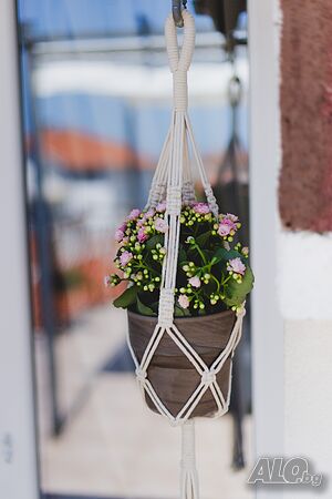 image_10