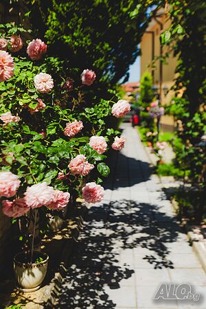 image_36