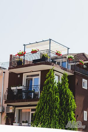 image_37