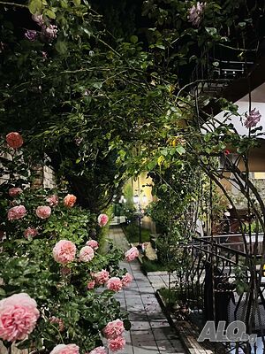 image_39