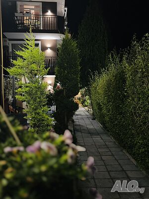 image_40